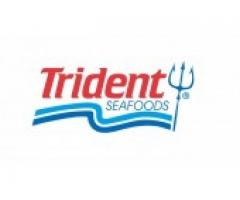 Nowa oferta pracy w przetwórni Trident Seafoods na Alasce